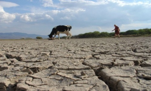 Advierten que Chile enfrenta la mayor sequía de últimos mil años