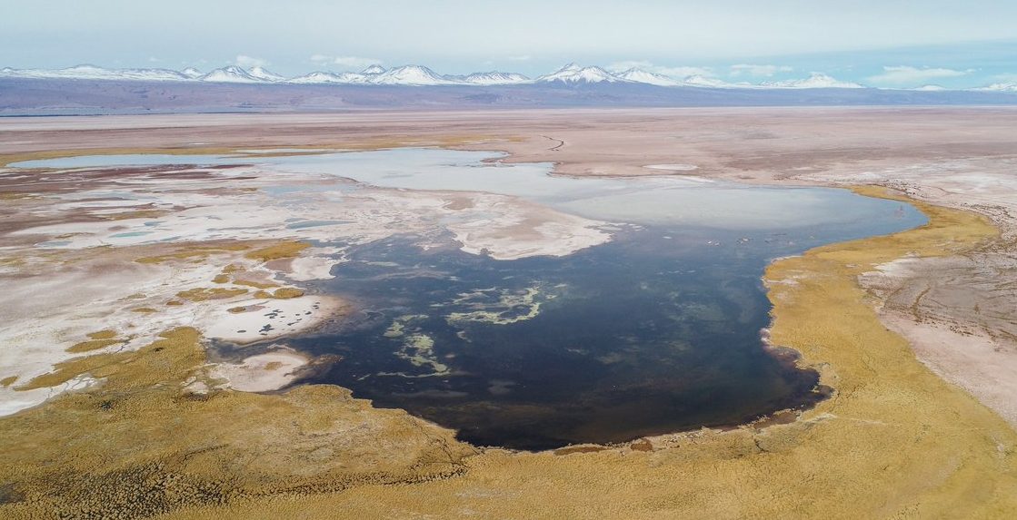 Ministerio de Medio Ambiente declara Santuario de la Naturaleza la laguna Tebenquiche
