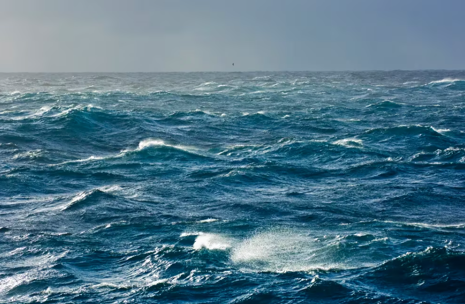 Nuevas investigaciones advierten que el océano podría almacenar más carbono del estimado