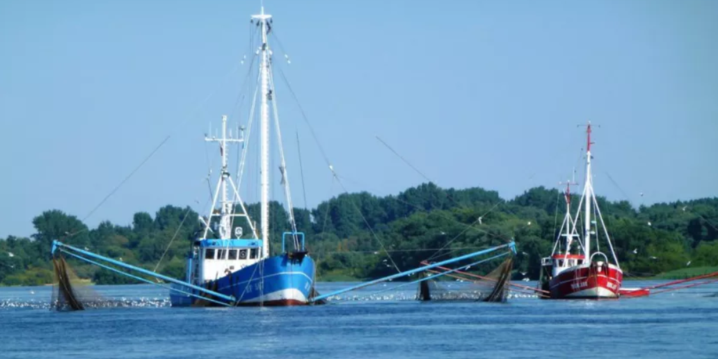 Cerca del 75% de la pesca industrial mundial no se rastrea