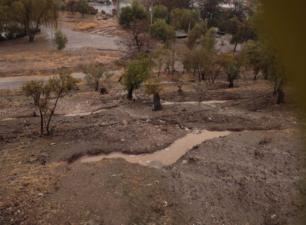Más de 970 obras para la infiltración de agua lluvia fueron inauguradas en el cerro Chena de San Bernardo