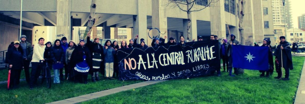 Corte de Concepción declara admisible recurso contra Conaf por permitir a Central Rucalhue intervención de especies protegidas sin consulta indígena