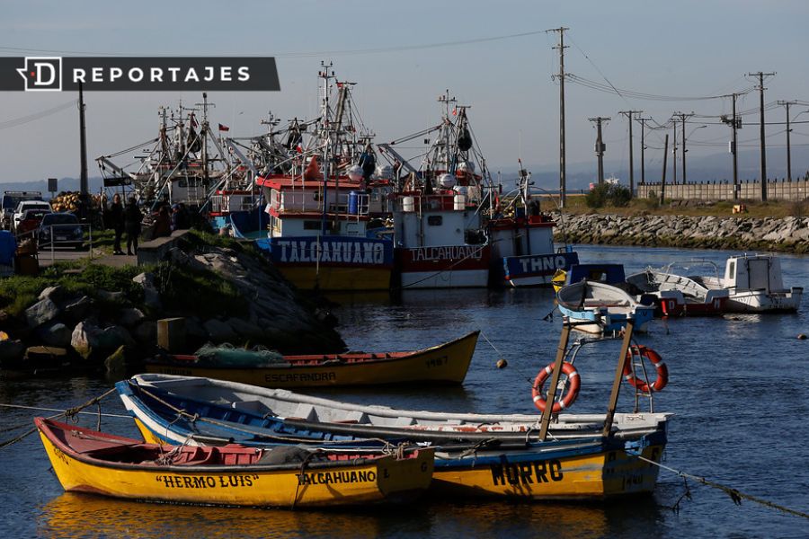 La excesiva dilatación del debate de la Ley de Pesca que sólo beneficia a la gran industria